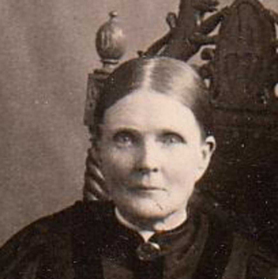 Mary Ellison (1830 - 1915) Profile